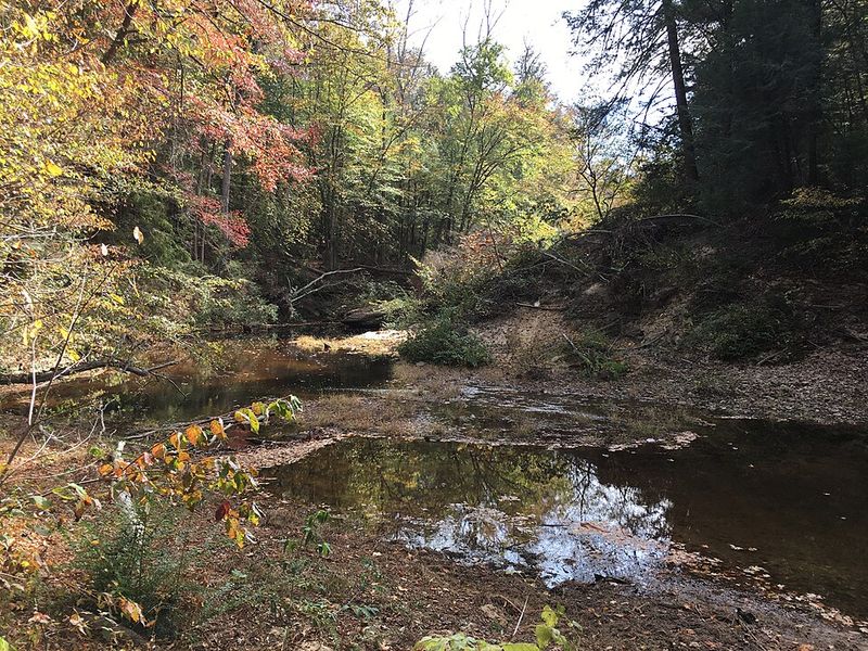 Sipsey Wilderness, Alabama