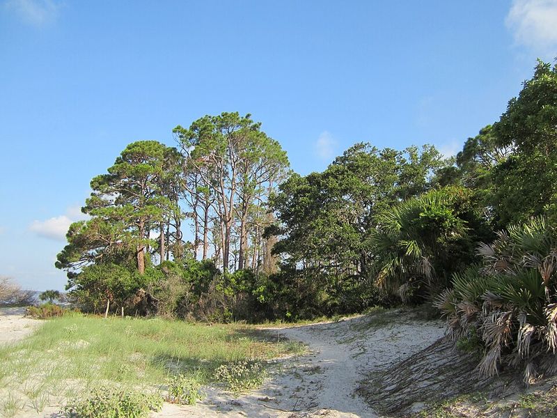 Cumberland Island (Georgia)