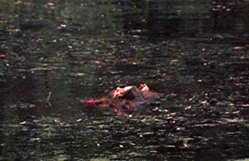 The Last House On The Left (1972)