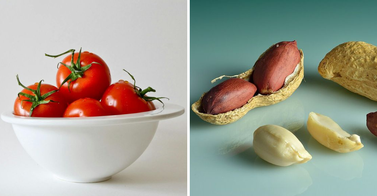 18 Native American Foods That Shaped Cuisine Before European Came