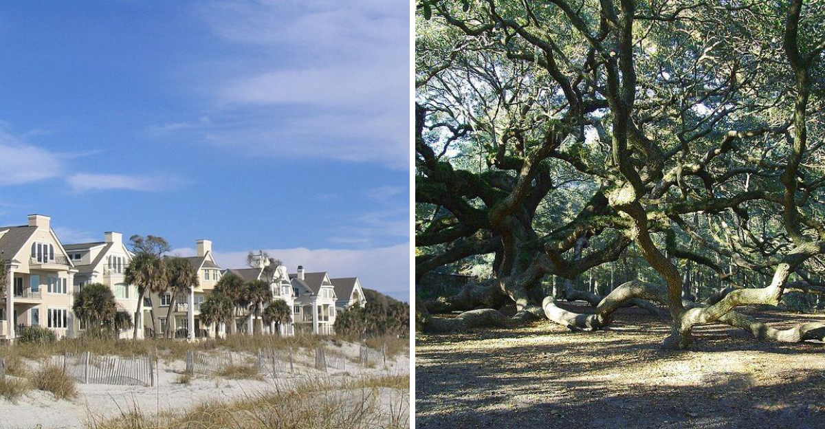 19 Beautiful Places In South Carolina Every Traveler Should Experience