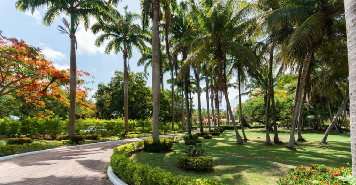 Across The Caribbean 7 Islands Won Me Over And 3 Just Missed The Mark