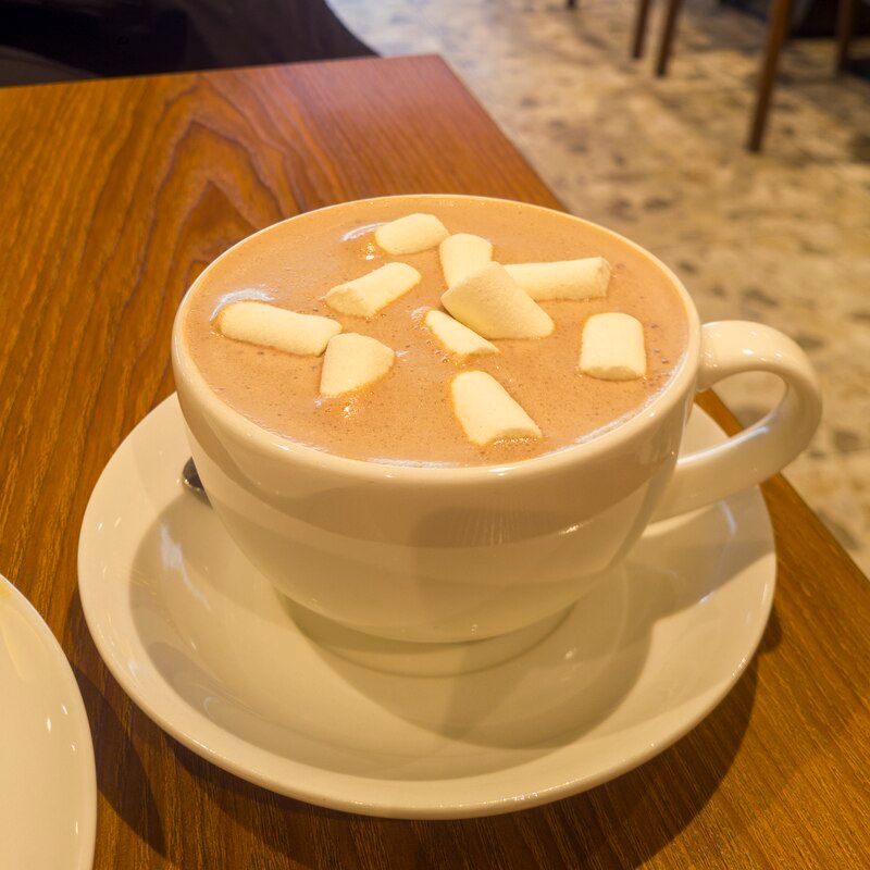 Hot Chocolate With Marshmallows