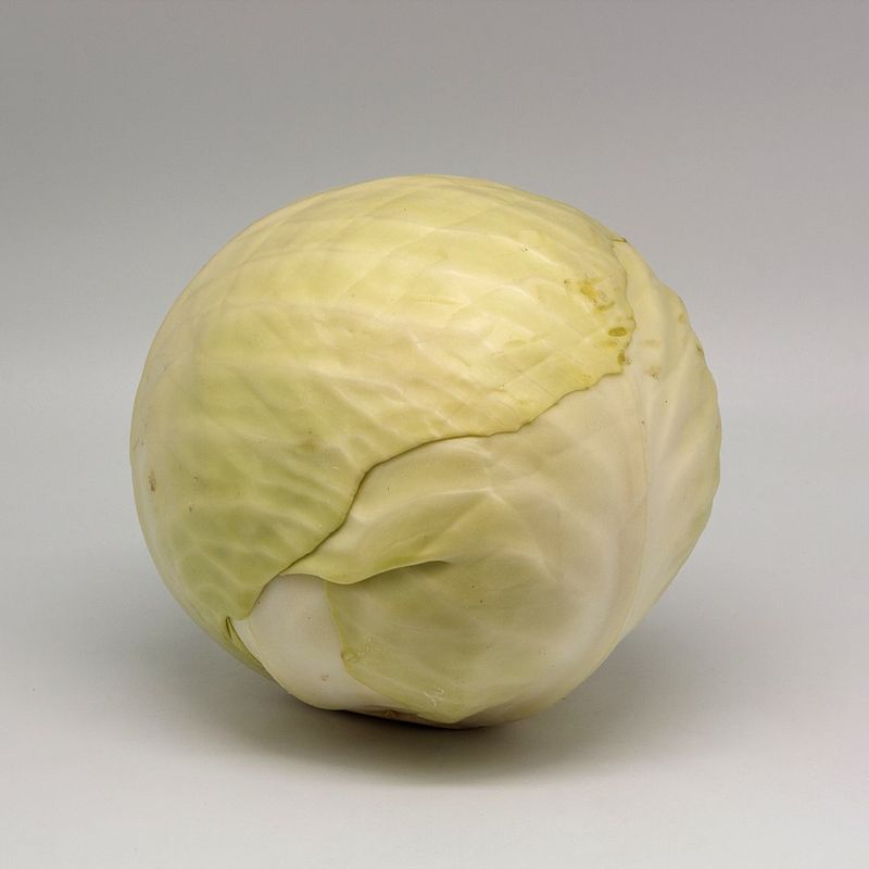 Cabbage And Other Hardy Garden Greens