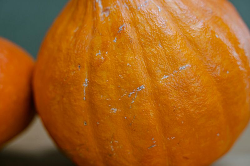 Pumpkin Skins (Roasted)