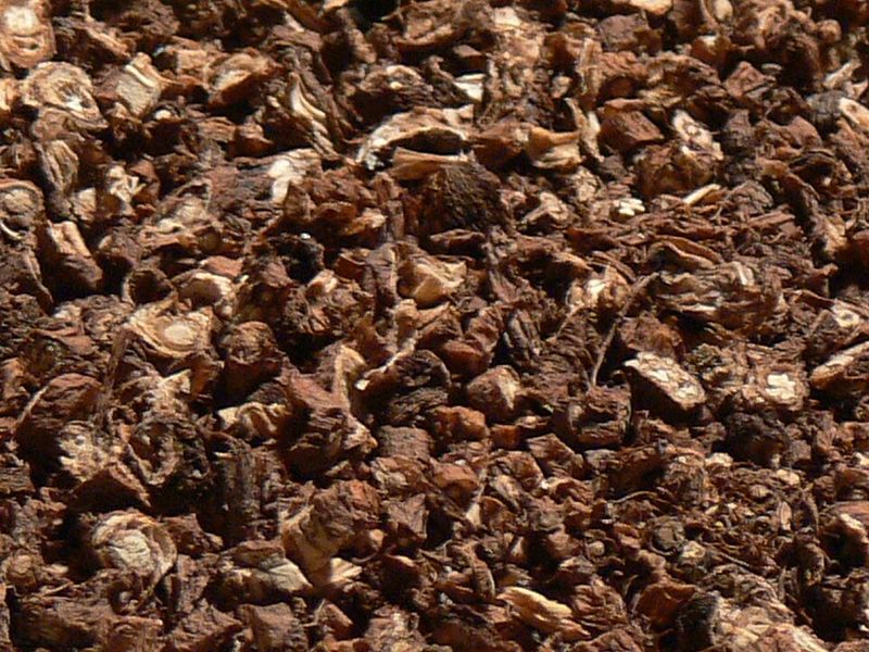 Dandelion Coffee (Coffee Substitute)