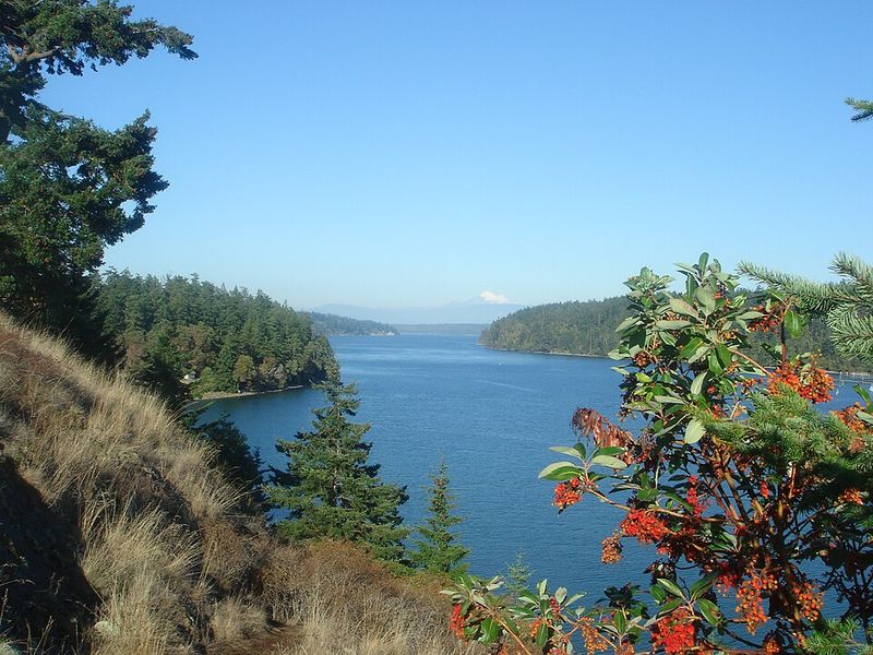 Whidbey Island (Washington)