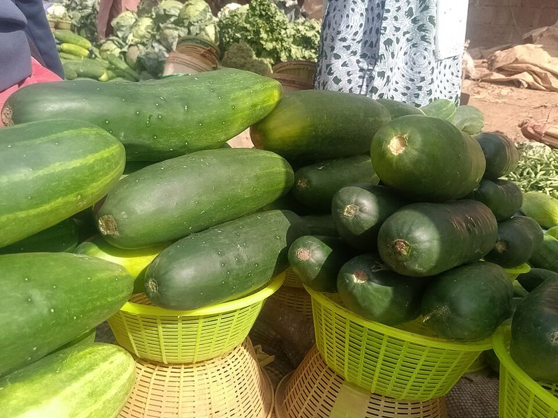 Cucumbers