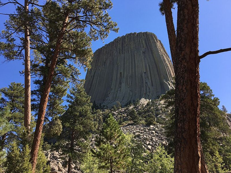 Wildlife Watching Zones