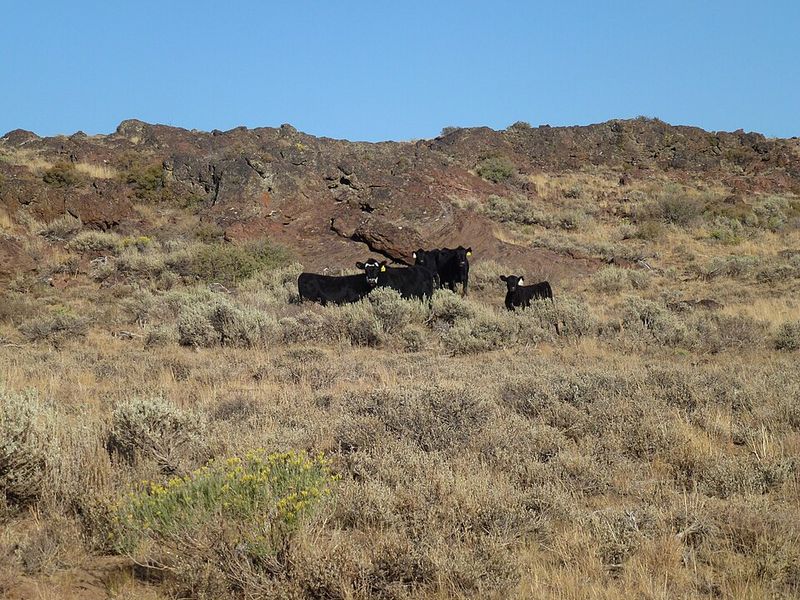 Breaking Ground With Real Locations