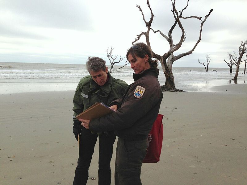 Bull Island, Cape Romain NWR, South Carolina