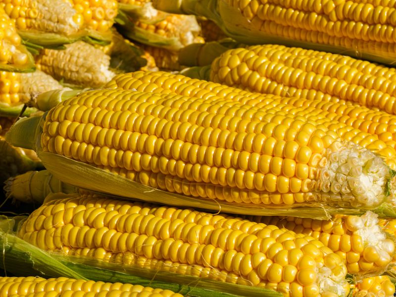 Corn Cobs (Used for Broth)