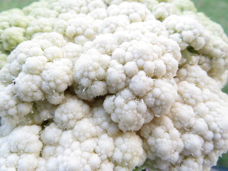 Cauliflower