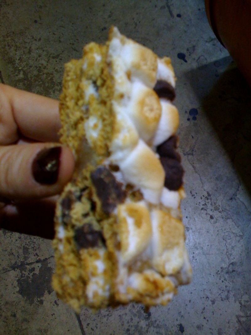 Campfire Style S'mores Bars