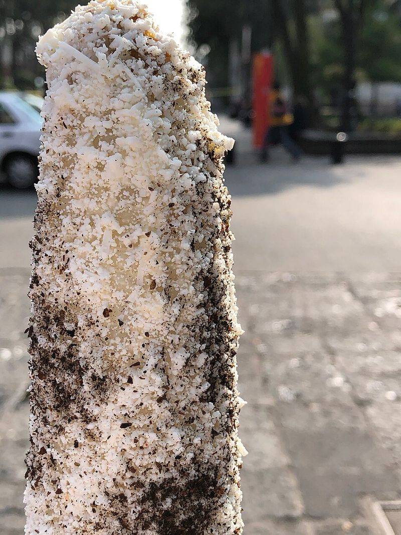 Street-Style Mexican Elote