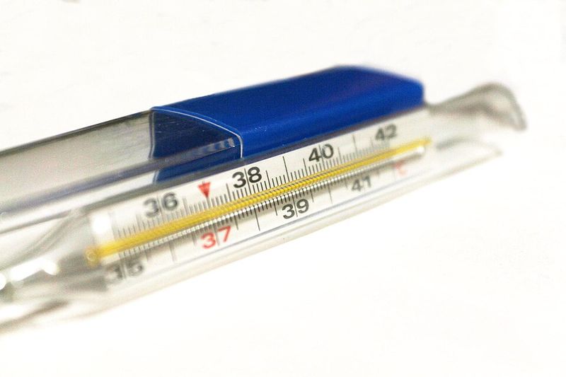 Mercury Thermometers Were Everyday No-Worry Tools