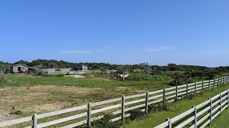 Ocracoke Island (North Carolina)