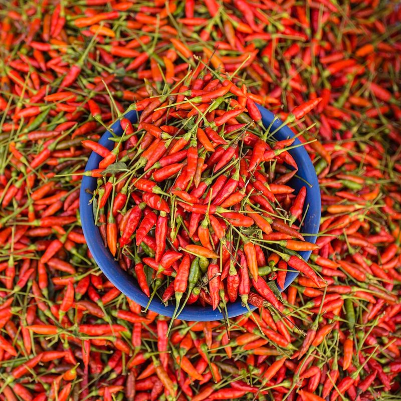 Spicy Chili Peppers