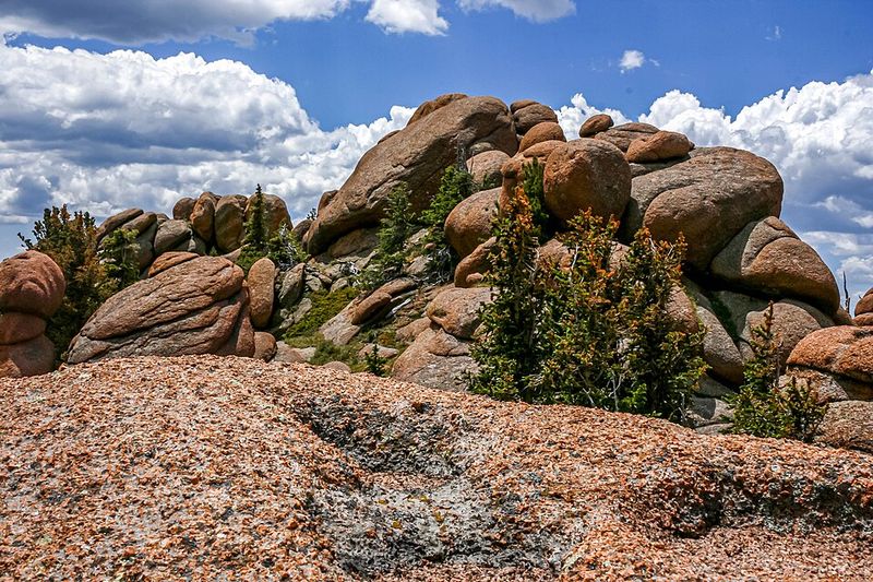 Events Throughout The Year