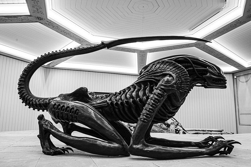 Xenomorph