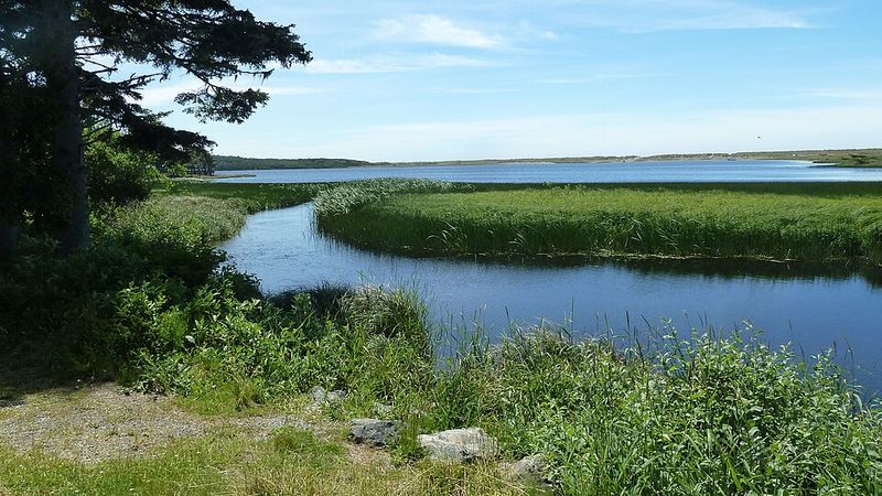 Perfect Conditions For First-Timers