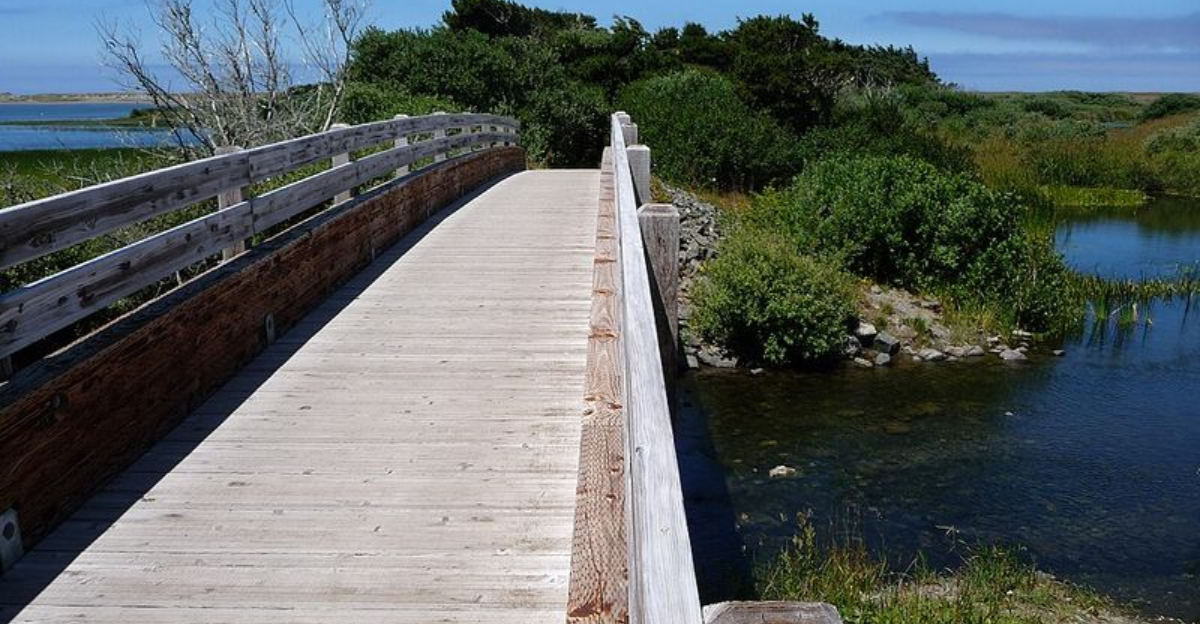 Floras Lake, Oregon’s Breezy Wonderland For Water Lovers