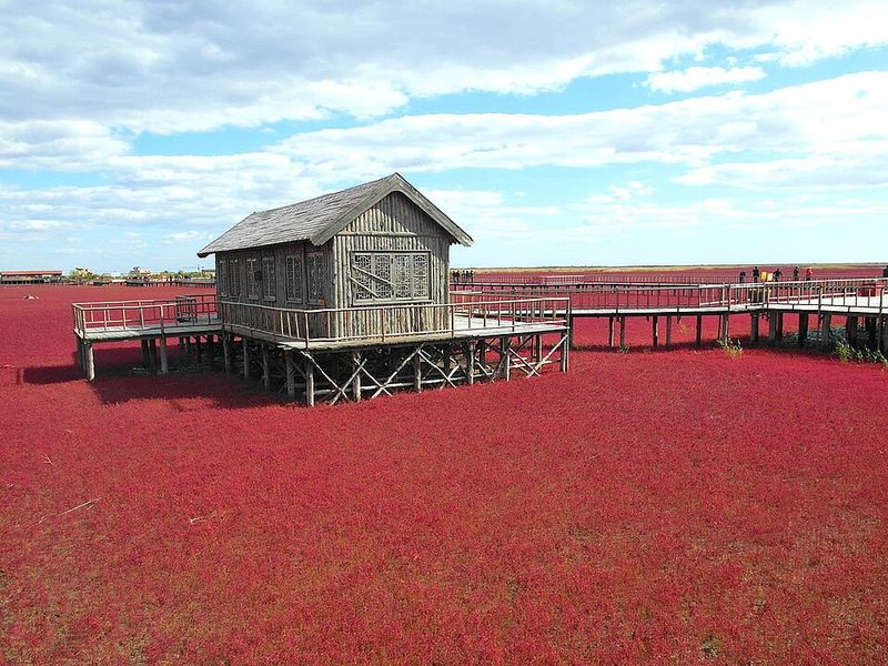Red Beach, Panjin, China