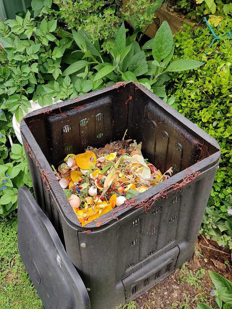 Compost Kitchen Scraps