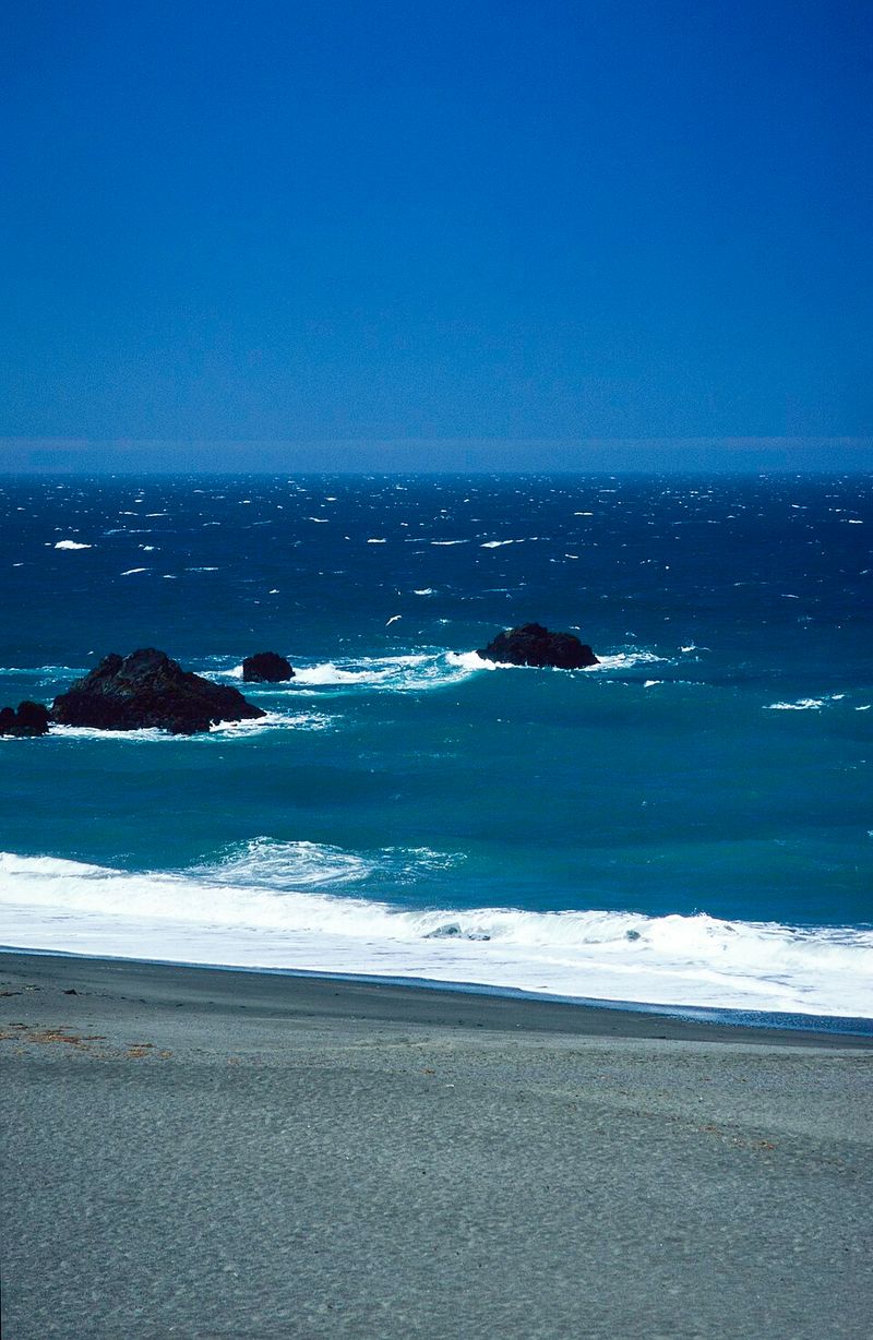 Whale Watching Opportunities