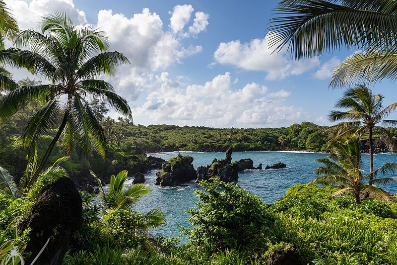 Wai'anapanapa State Park Wonders