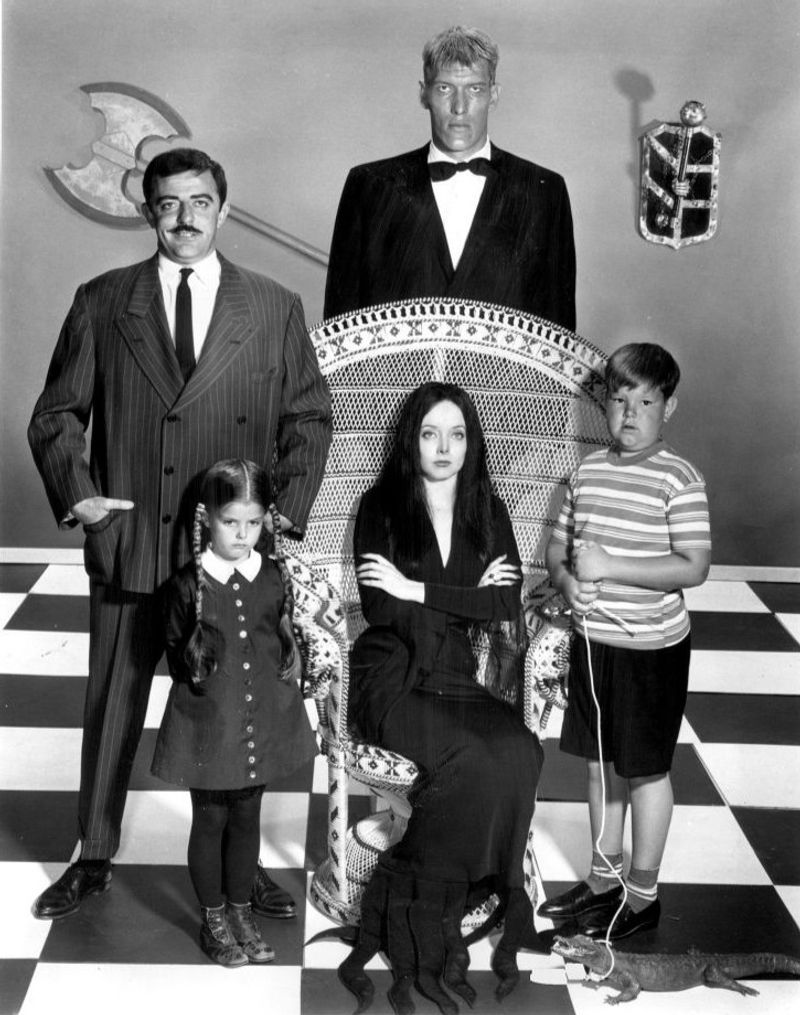 The Addams Family Reunion