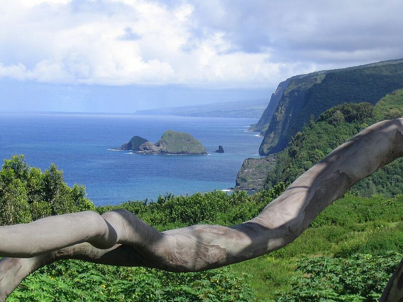 Pololū Valley Lookout, Hawaiʻi Island