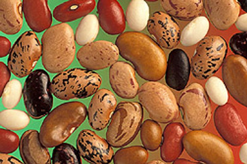 Common Beans