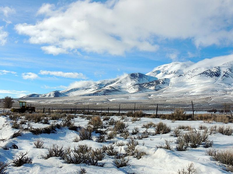 Surrounding Natural Beauty