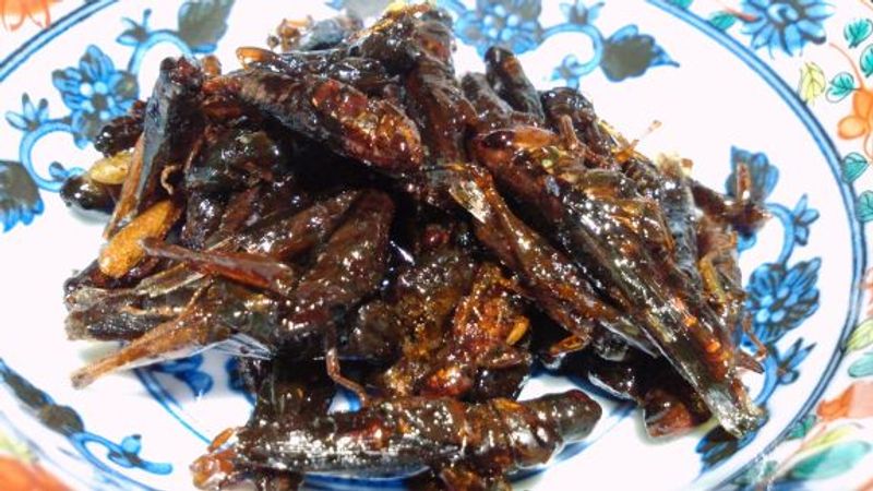 Not So Beloved: Inago No Tsukudani