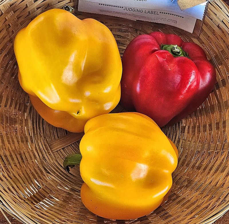 Bell Peppers