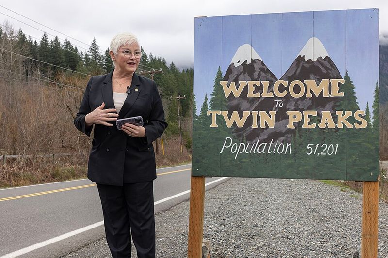 Twin Peaks – Twin Peaks