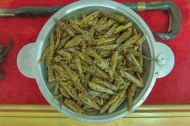 Dried Insects