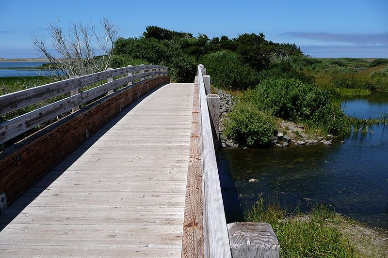 Water Activities For Every Speed