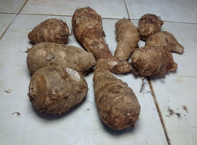 Taro Root