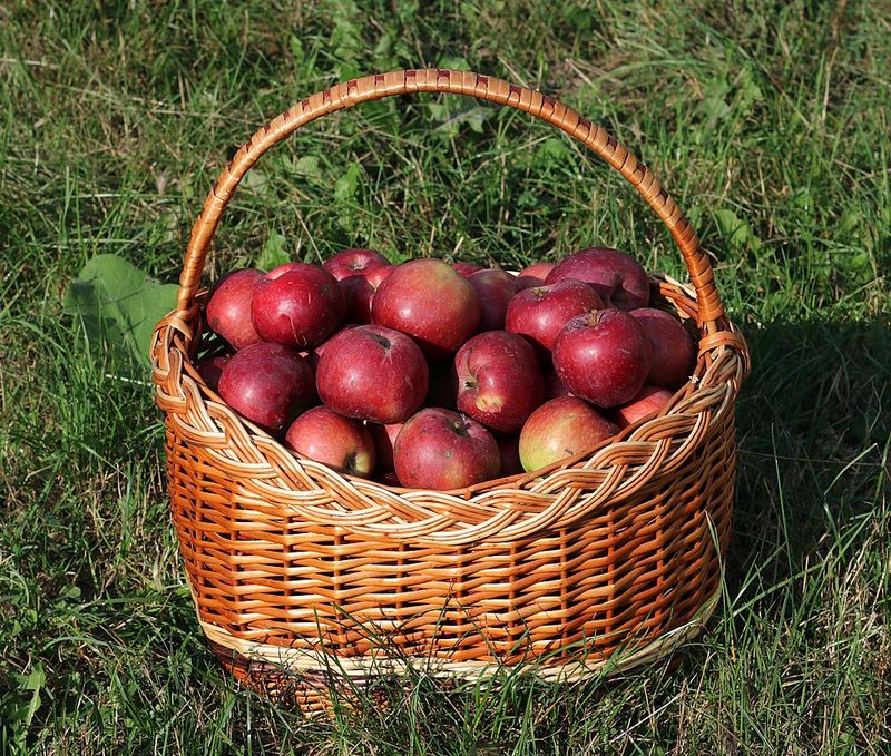 Apples (Eaten Fresh And Cooked)