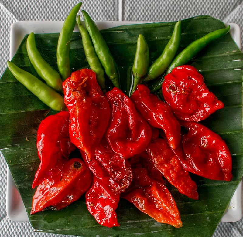 Ghost Pepper (Bhut Jolokia)