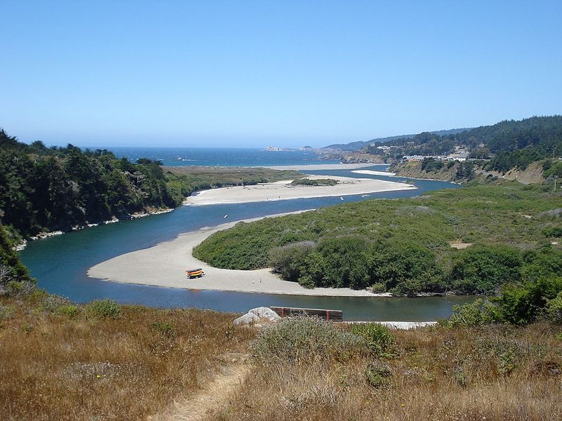 Tide Pools And Marine Life