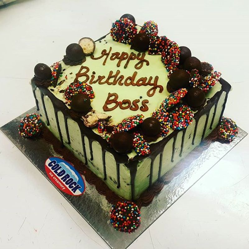 Frozen Mint Chocolate Ice Cream Cake