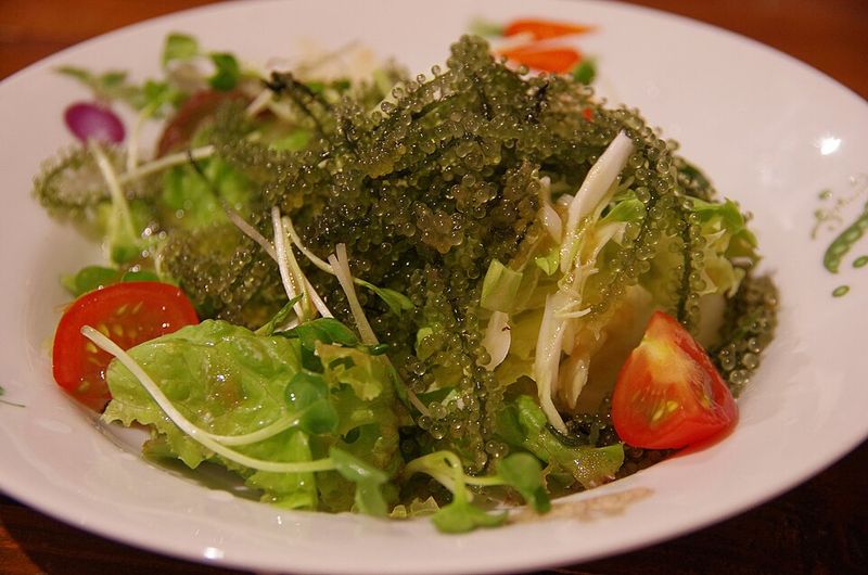 Seaweed Salad