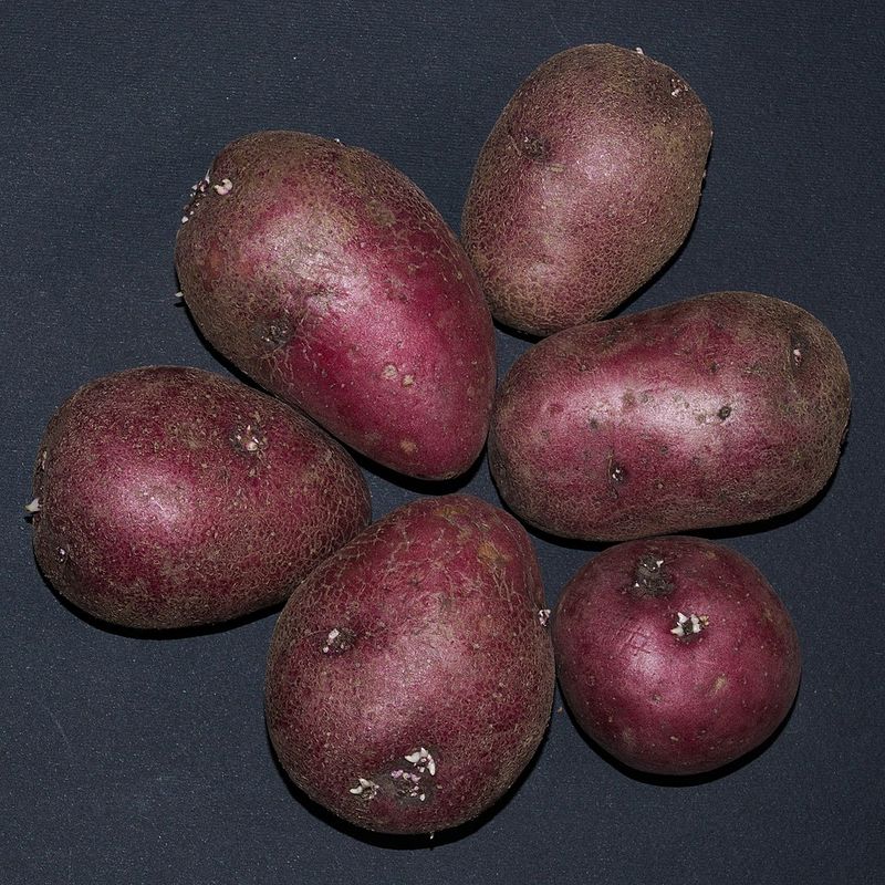 Potatoes