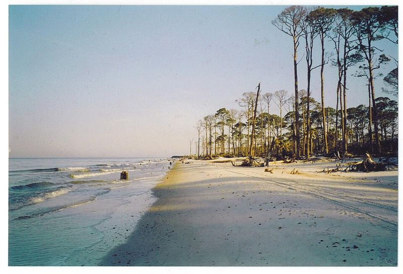 Cape San Blas, Florida