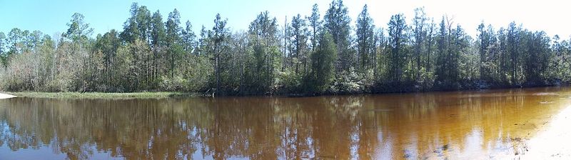 Blackwater River State Park, Florida
