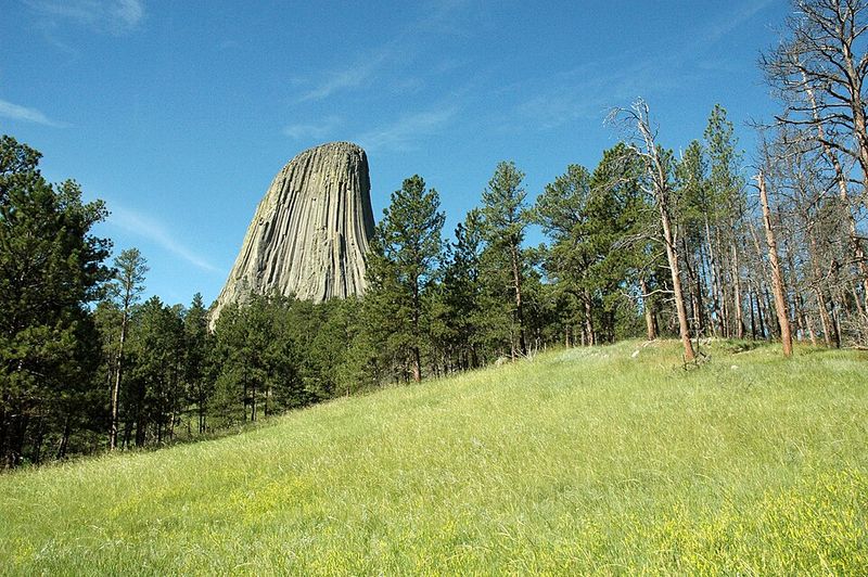 Tower Trail Loop Walk