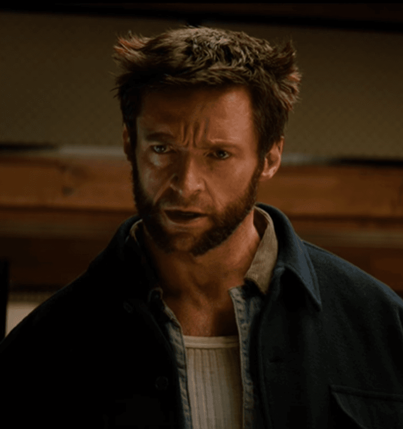 Wolverine Logan